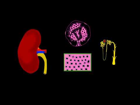 Meaning Of Ckd In Automotive