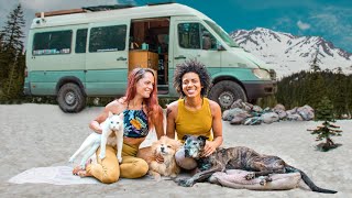 Living in a van with 2 dogs and a cat! by Ride and Seek 6,293 views 11 months ago 20 minutes