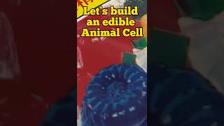 Let’s build an edible cell!