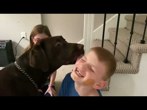 Reese licking some faces