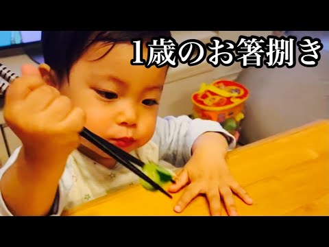 1歳のお箸捌き Shorts Youtube 1歳のお箸捌き Shorts Youtube
