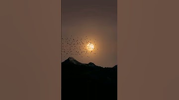 Thumbnail of The Beautiful Moon 🥰 #hindisong #song #moon #moonlight
