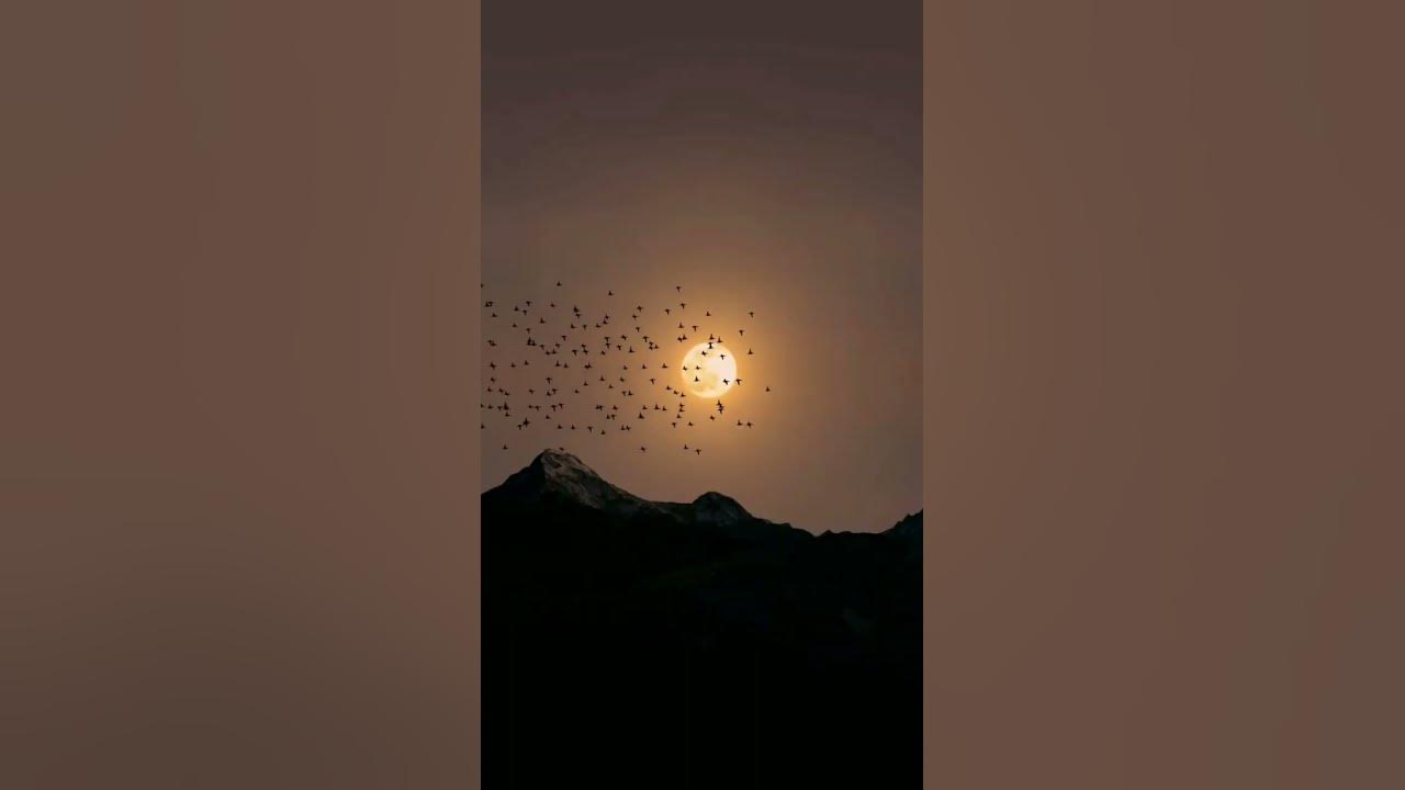 The Beautiful Moon 🥰 #hindisong #song #moon #moonlight