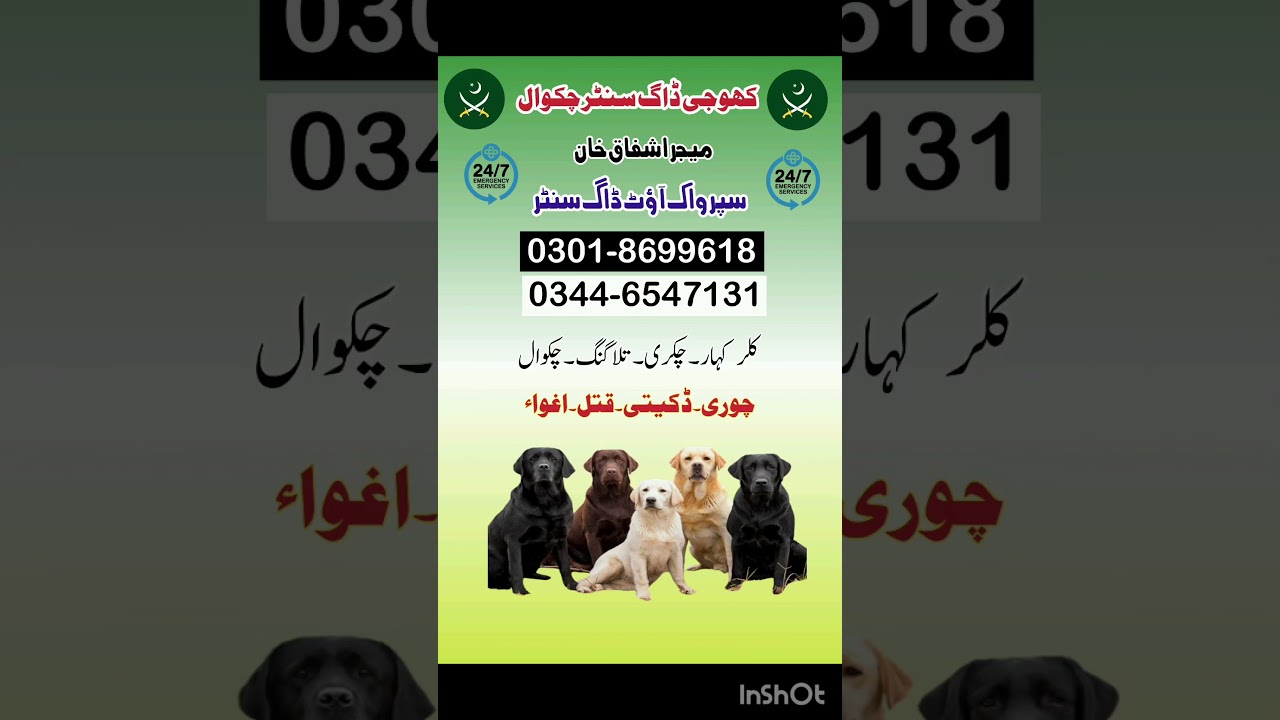 Army Dog Center Chakwal 