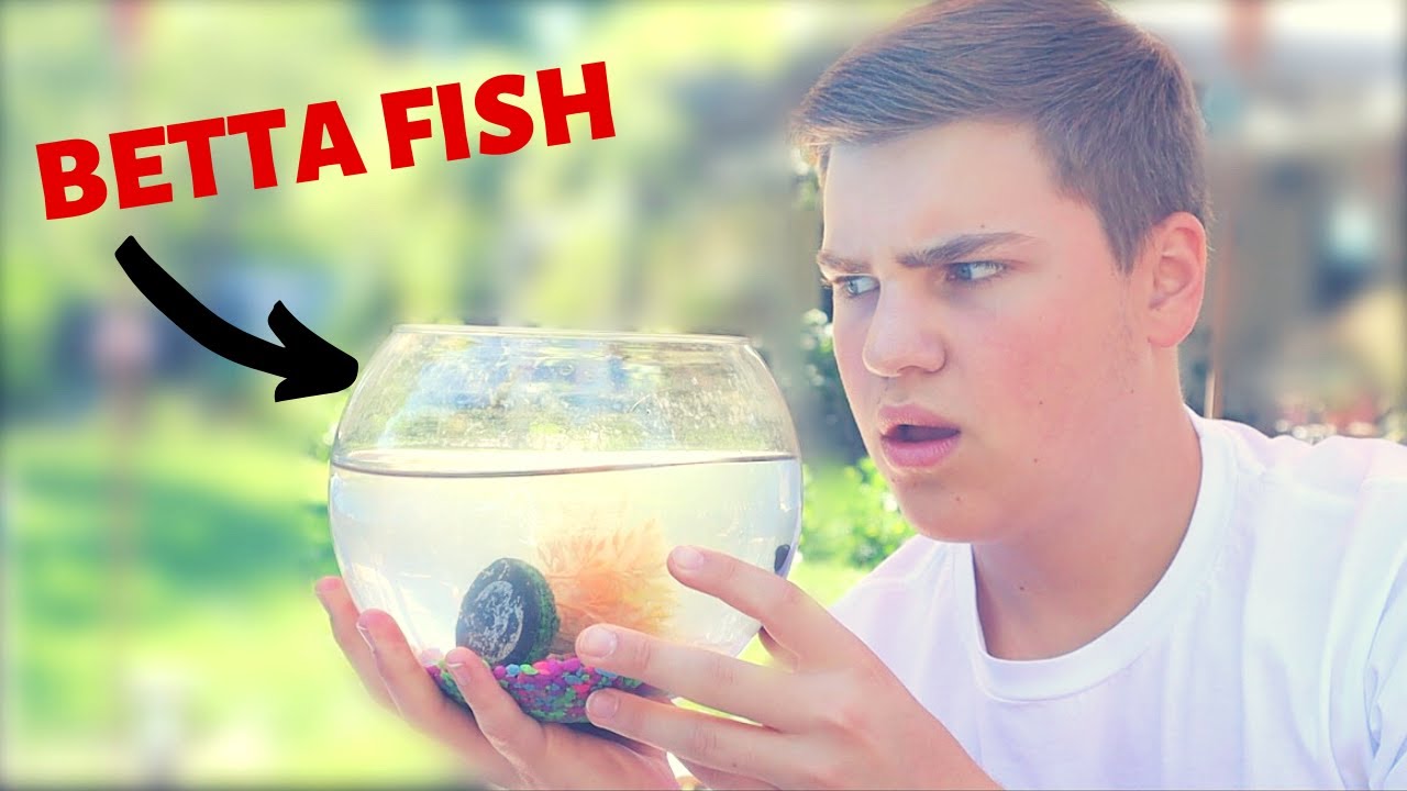 *RESCUING A BETTA* FISH FROM *CRAIGSLIST* YouTube