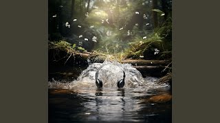 Echoes of River Harmony