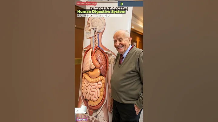 Human Digestive System Funny Animation | Gut Health | Human Anatomy | Bio AI Art | 10