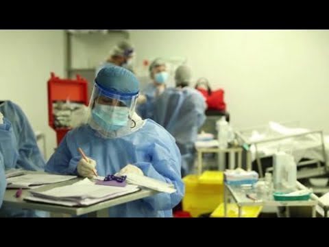 ომიკრონის 335 შემთხვევა და 41 გარდაცვილილი - კოვიდ-19 განახლებული სტატისტიკა