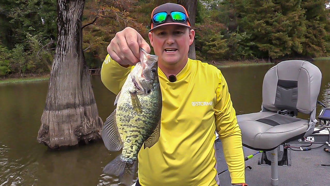 FOX Sports Outdoors SouthWEST 35 2019 Duck River WMA, Tennessee Largemouth Bass Fishing YouTube