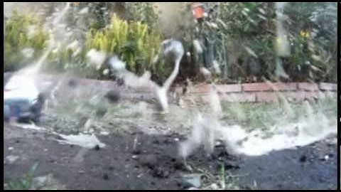 Extreme Slow Motion Exploding Soda Cans (Camera Frame Rate Test)