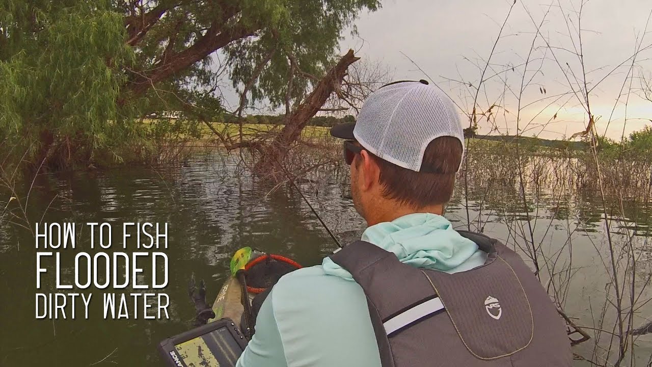 How to Fish Flooded, Dirty Water YouTube