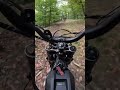 Immer freundlich grüßen im Wald 🌳