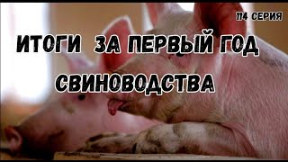 Итоги за первый год свиноводства.