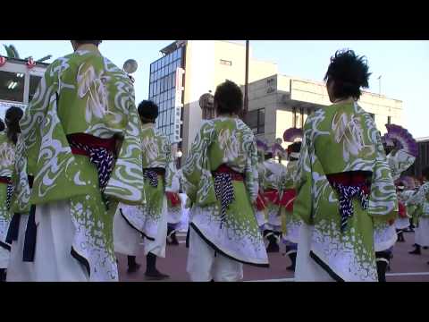 安濃津よさこい2011　皇學館大学"雅"
