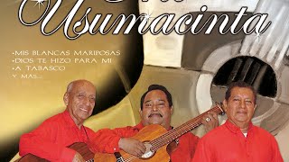 Video thumbnail of "Trio Usumacinta - Pocas Como Tú"