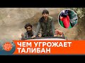 Талибы хотят возобновить телесные наказания и казни: кто пострадает — ICTV