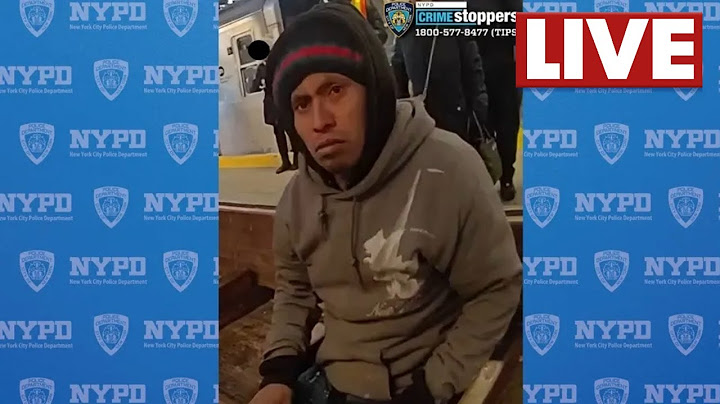 NYPD officials provide update after woman set on fire, killed on Brooklyn subway
