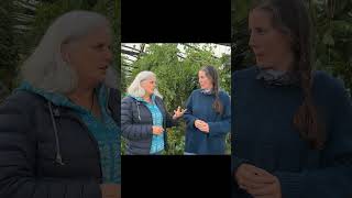 TOP TIPS FOR GARDEN DESIGNING #permaculture #foodforest #gardening
