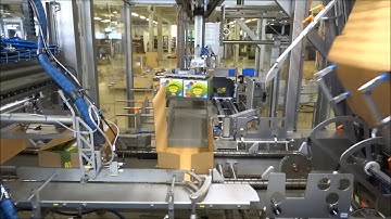 51105 BluePrint Automation (BPA) Case Packer Wrap Around 200