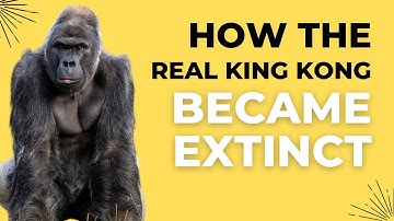 How the real KING KONG became extinct | the largest primate on record | Gigantopithecus blacki