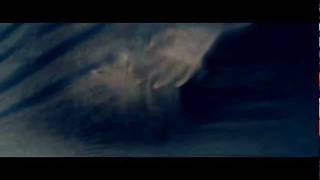 Seabound - Torch (remix by monozelle)