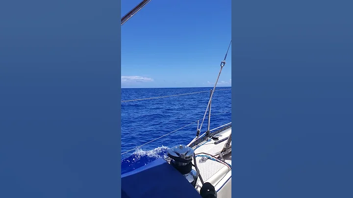Day of Sailing