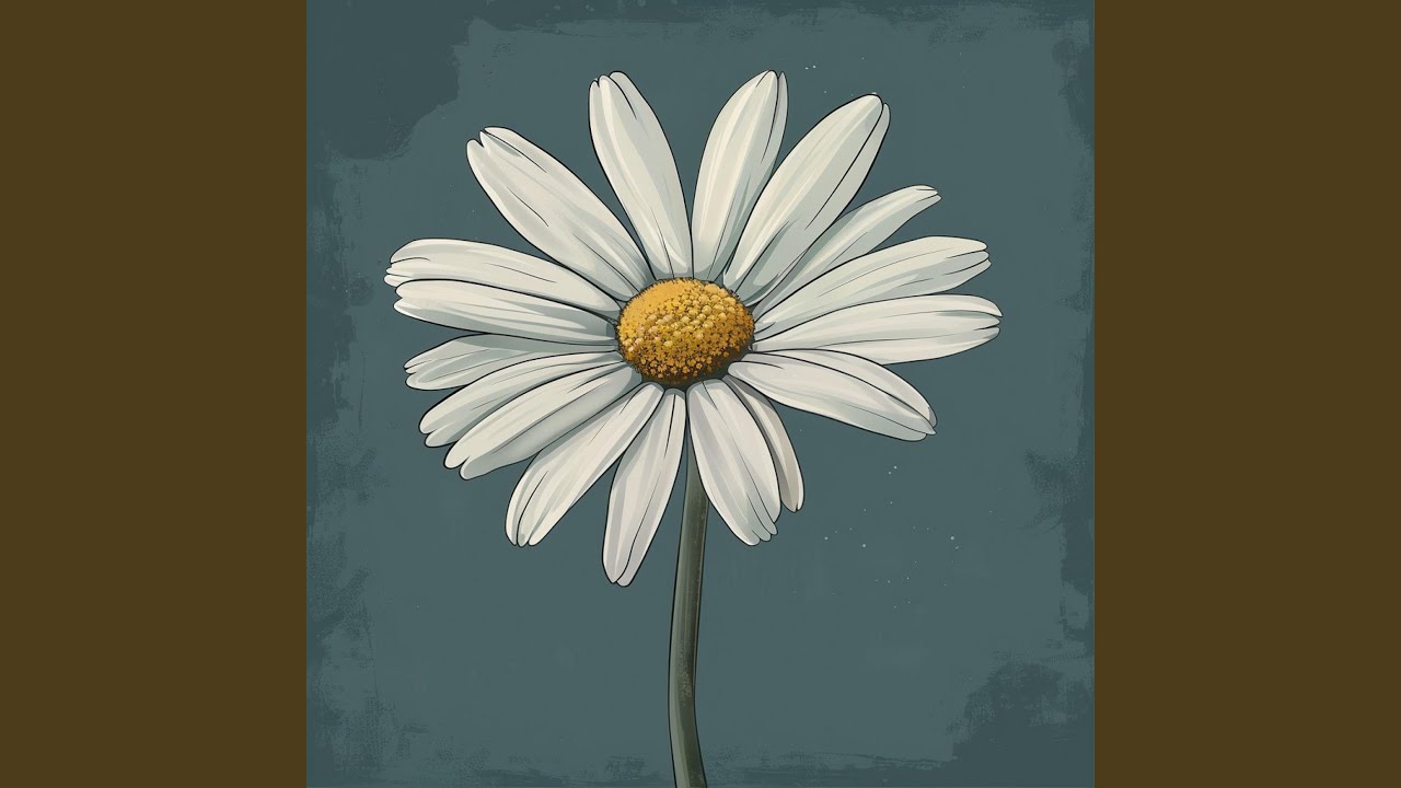 Watch daisy on YouTube Watch daisy on YouTube