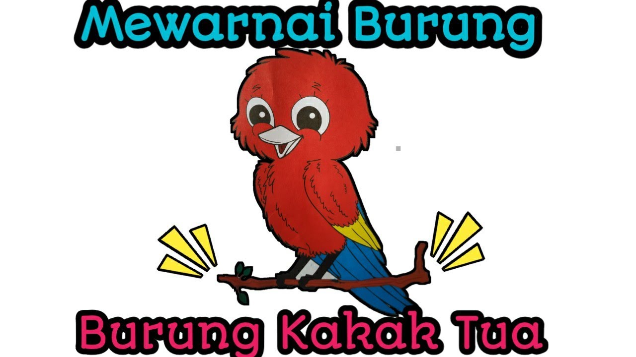 420 Koleksi Gambar Burung Kartun Mewarnai Gratis Terbaik