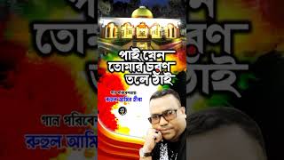 পাই যেন তোমার চরণ তলে ঠাই, রুহুল আমিন হীরা