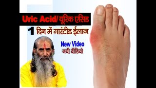 बढे हुए Uric Acid का इलाज मात्र 1 दिन में कैसे करे जानिए गुरु जी से || Uric Acid Treatment ||