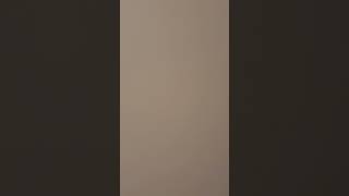 IMG 0940