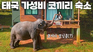 태국 치앙마이 7만원대 가성비 코끼리 숙소 방문기 - 태국 여행(5)🇹🇭