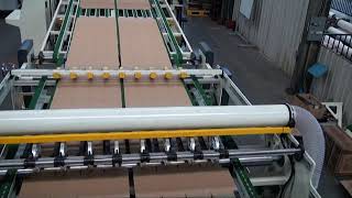DINGLONG 1600-2800 flexo printing RDC stripper counter stacker machine