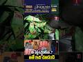 మీ పేస్ట్ ఒర్జినలేనా..? ఐతే ఇది చూడండి #tnews