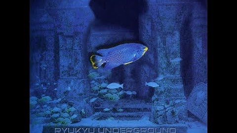 Ryukyu Underground - Ryukyu Underground (full album)