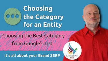 Choosing the Best Google Category for your Entity: Kalicube Pro SaaS