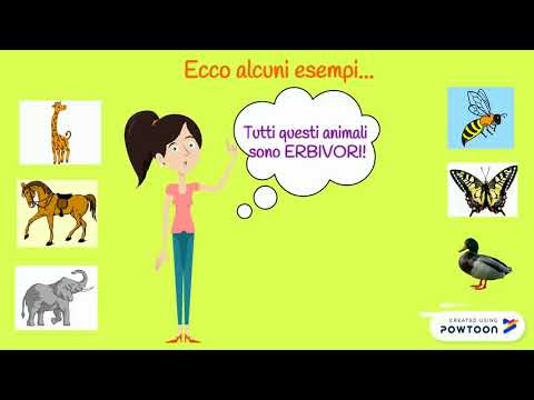 Video: Diferența Dintre Dinții Erbivori și Carnivori