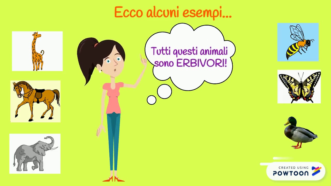 Animali Carnivori Erbivori E Onnivori Wikipedia