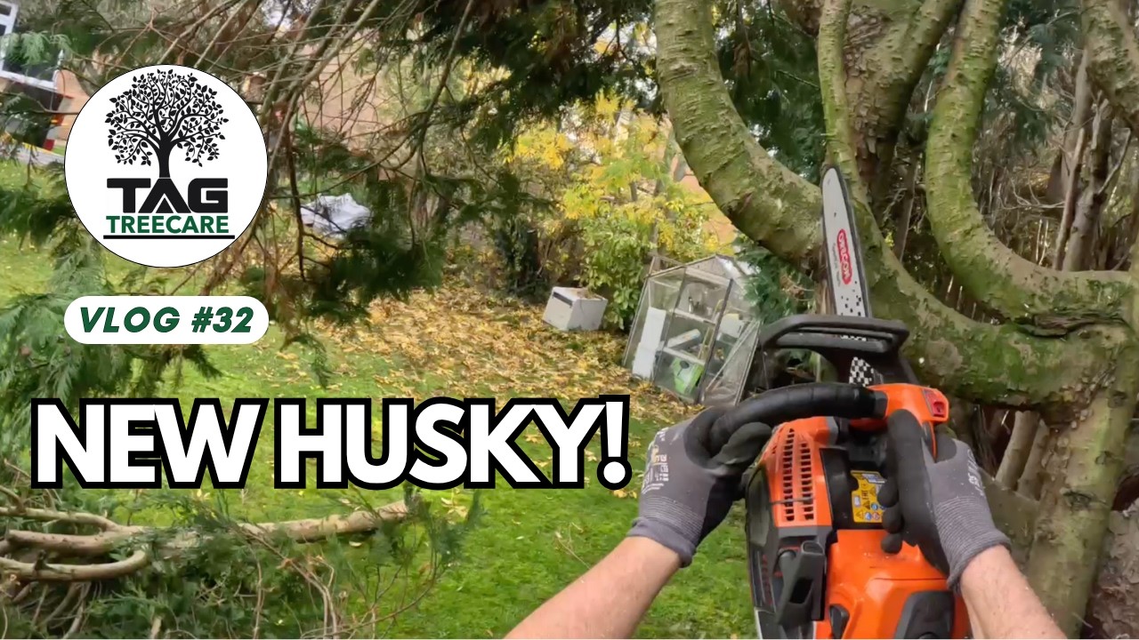Putting the New Husky Mark III to Work! 🪚🔥 Lawson Removals | TAG Tree Care 🌳