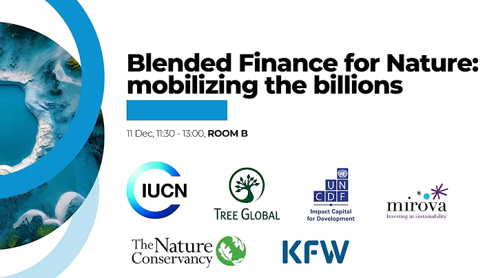 Blended Finance for Nature: mobilizing the billions - Building Bridges 2024 - Room B - Dec 11
