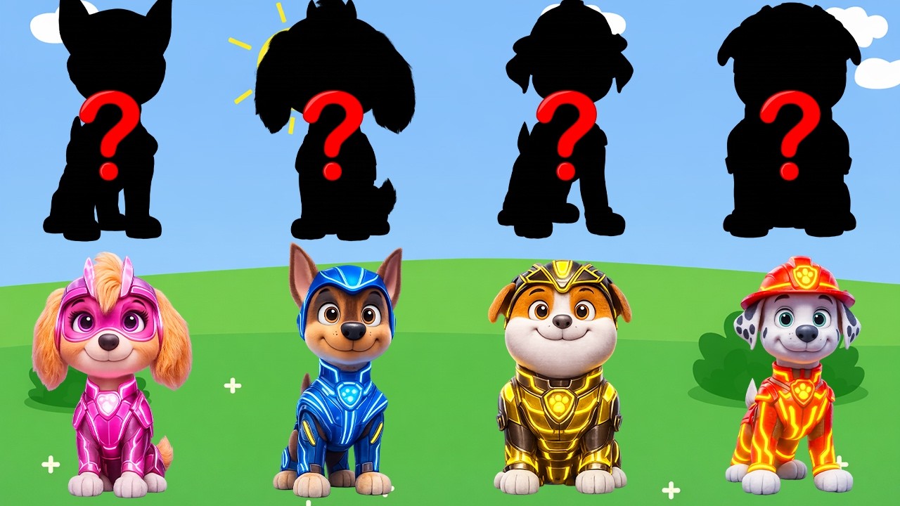 Paw Patrol and Friends Learn Kids Useful Stories for Kids Cartoon Paw Patrol Special Episodes #3