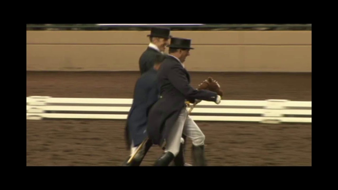World Class Dressage Stick Horse Quadrille YouTube