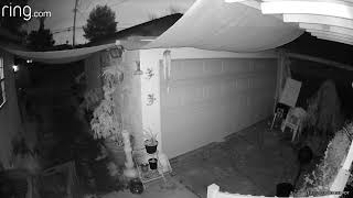 Ring Camera Captures orb with sound, very interesting!!!!!
