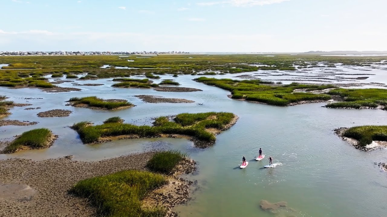 🌊 Spring Break Preview with Darley Newman