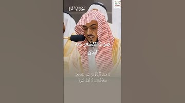 القارئ الشيخ الوليد الشمسان في سوره البقره ثم قست قلوبكم ❤️