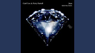 Joya (Radio Slave Remix)