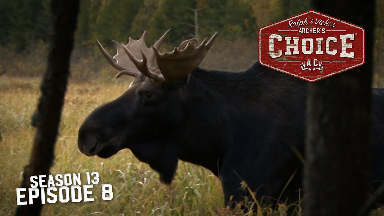 Budget Moose Hunting at Kashabowie Outposts Archer’s Choice (Full