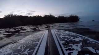 GoPro - Paddleboarding in Miami