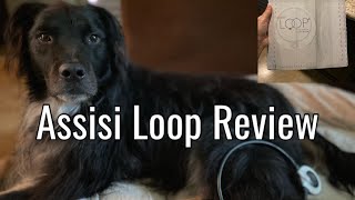 Assisi Loop Review after ONE week of use