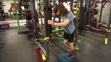 Bent Knee Hip Abduction AFSM Cocontraction Speed Triphasic Training